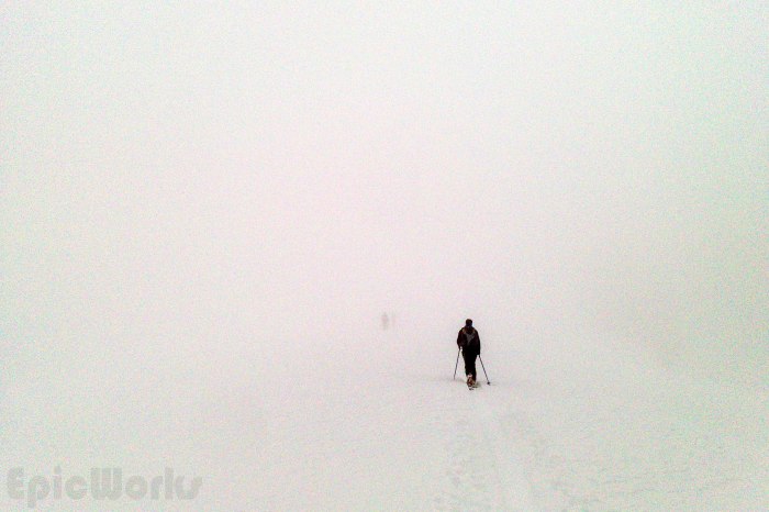 Sacred Chartreuse (20)